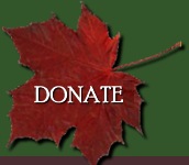 Donate to Lyme Land Conservation Trust