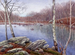 B2.-LYME-beaver-pond-angie-falstrom-1