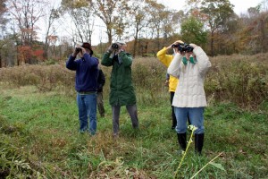 Birders