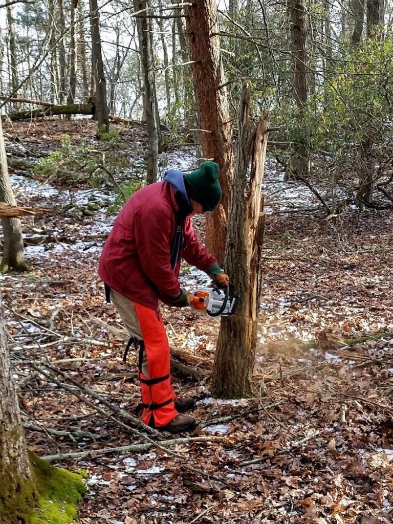 Read more about the article The Ravine Trail has been improved