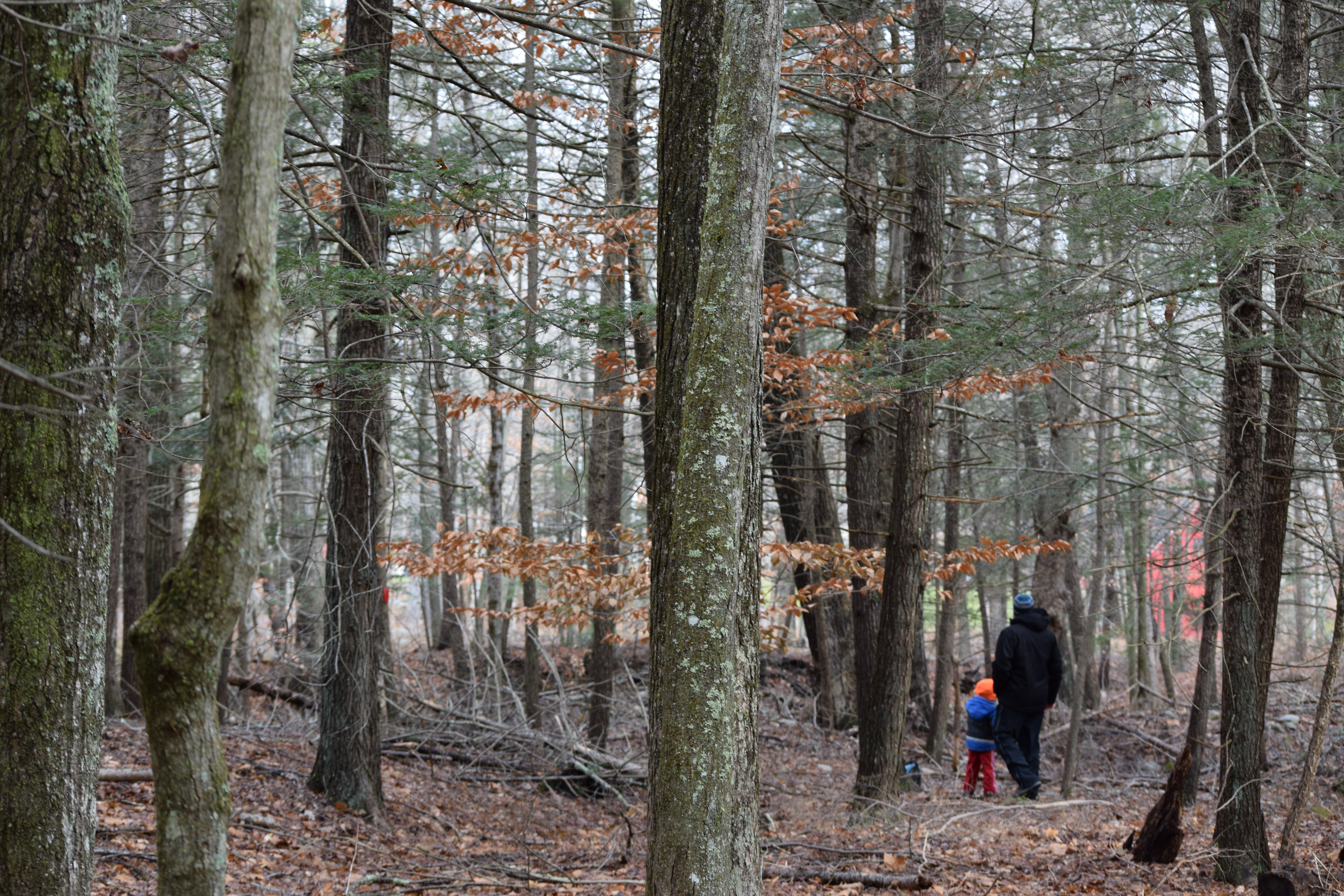 Read more about the article Connecticut Trails Day a chance to show off local hiking spots