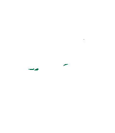 logo2020_Bird_white_transparent