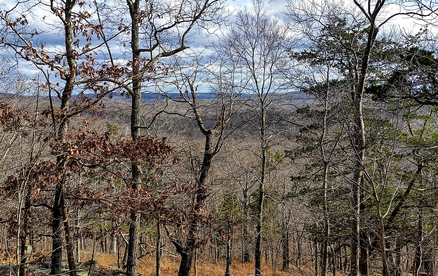 Read more about the article Johnston Preserve is Open!