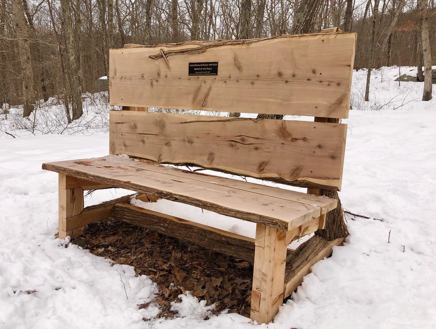 Read more about the article Bench dedicated to Linda Bireley