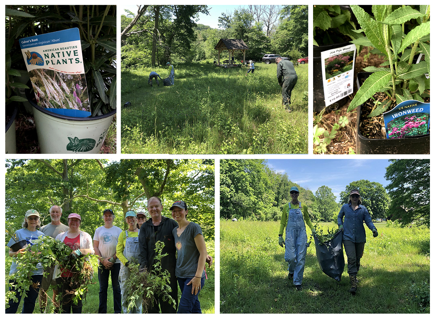 Riverside Preserve Community Work Day - Lyme Land Conservation Trust