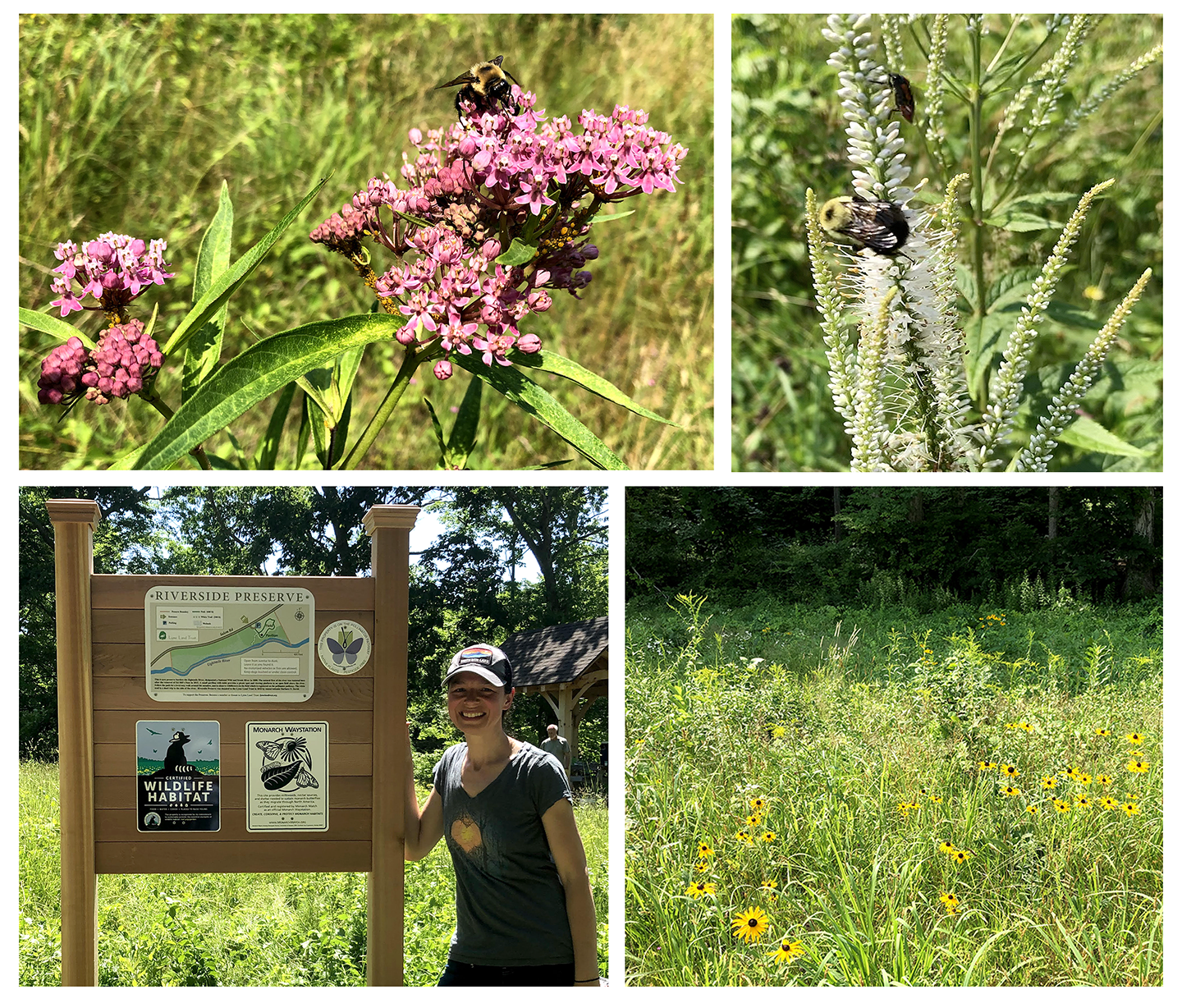 Read more about the article Riverside Preserve Community Work Day