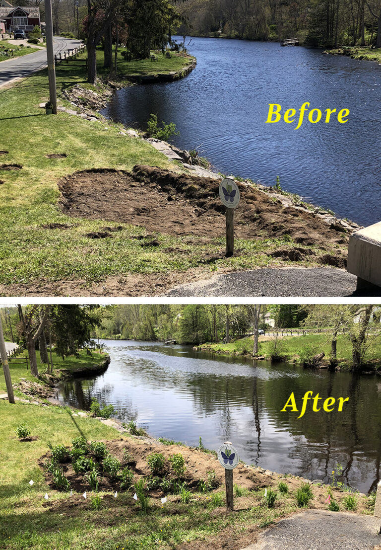 Reed Landing Rain Garden Project Lyme Land Conservation Trust