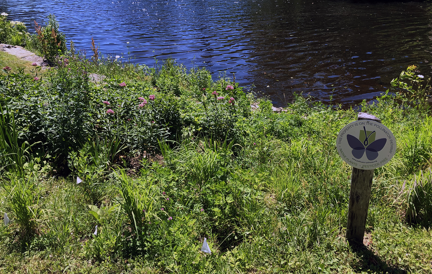 Read more about the article Reed Landing Work Party