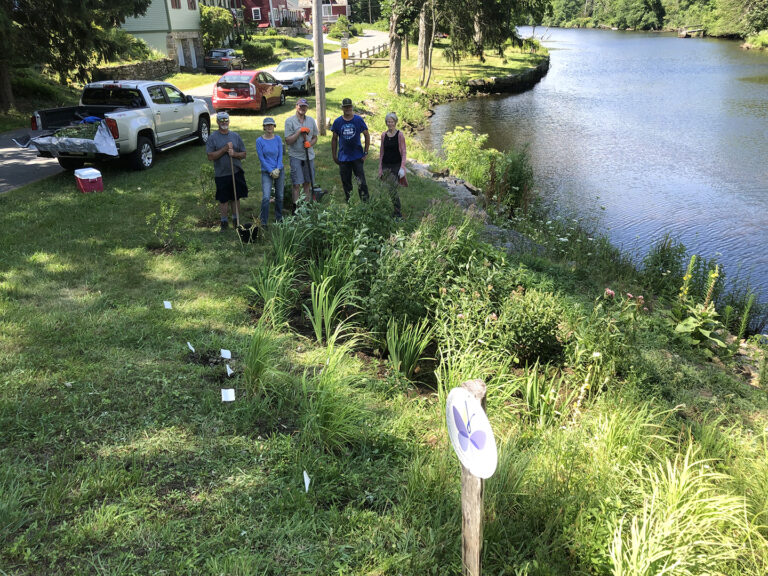 Reed Landing Work Party Lyme Land Conservation Trust