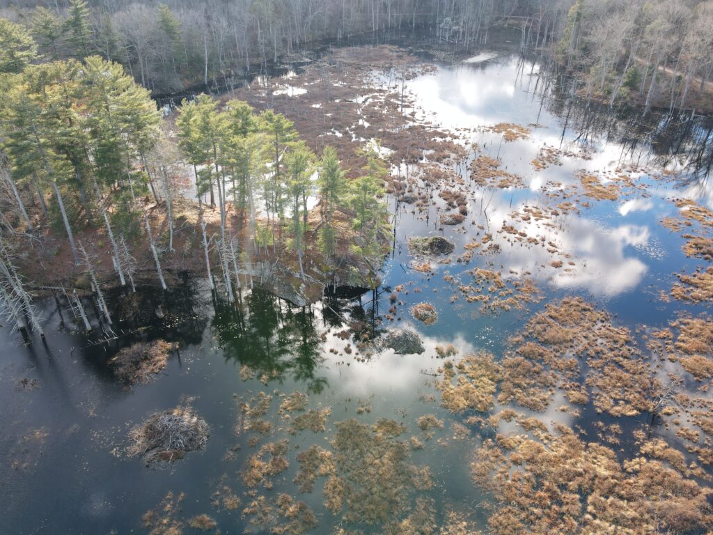 drone photo