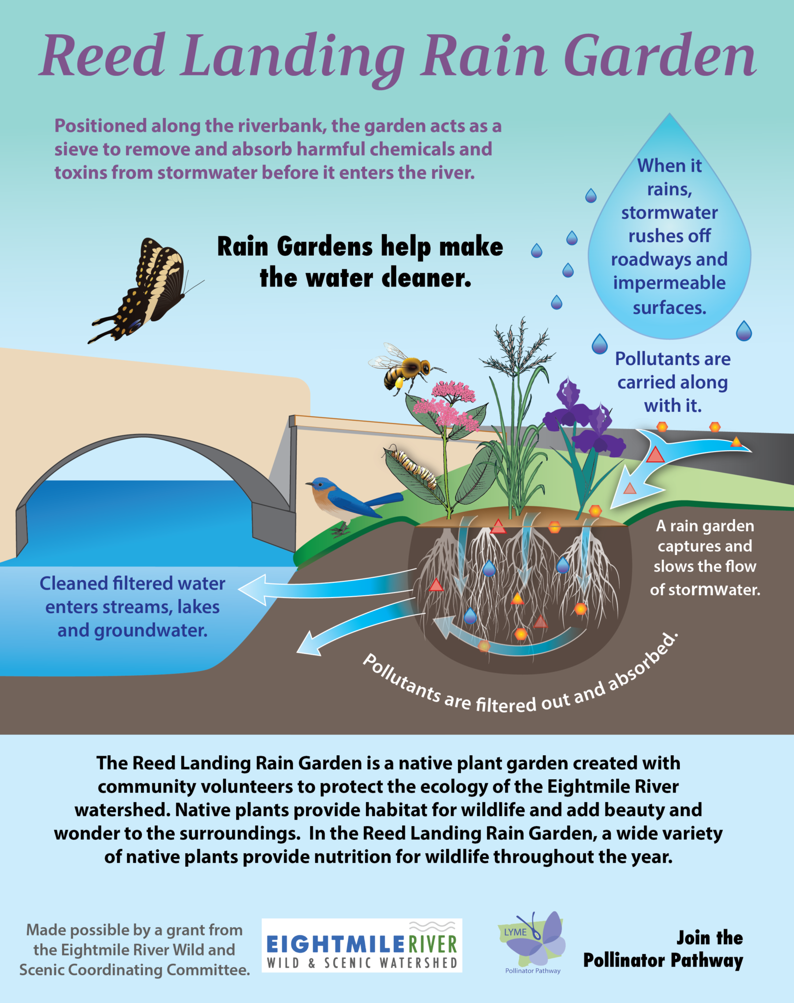 Reed Landing Poster Lyme Land Conservation Trust