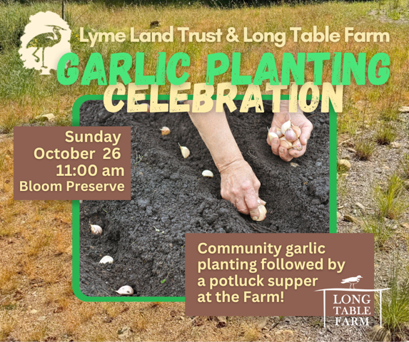 Garlic Planting Celebration