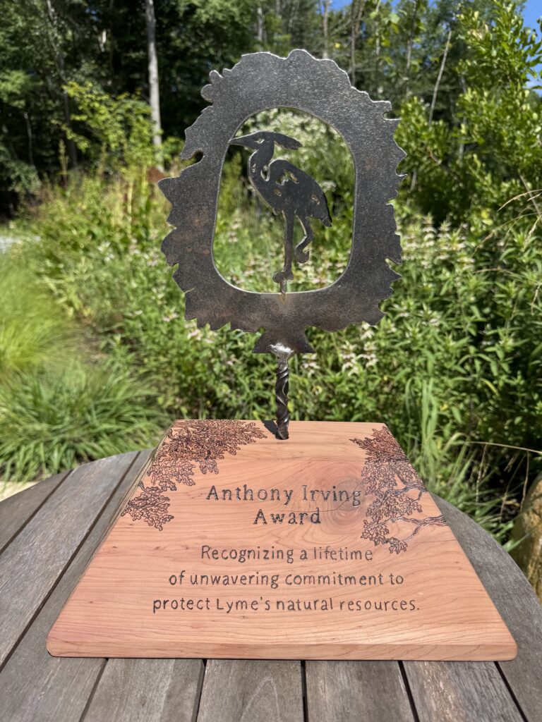 Anthony Irving Award